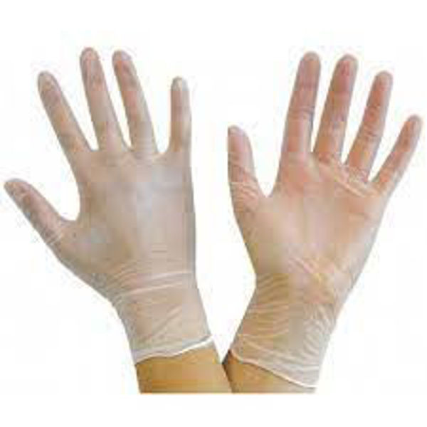 Picture of CLEAR VINYL P/F GLOVES MEDIUM (100)