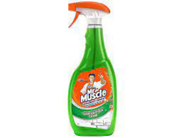 Picture of MR MUSCLE WINDOW CLEANER 750ML