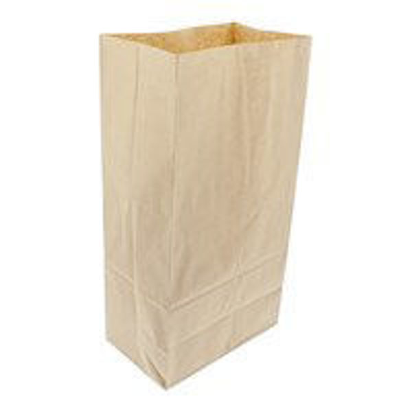 Picture of BROWN STOUT BAG 25X15X43CM (250)